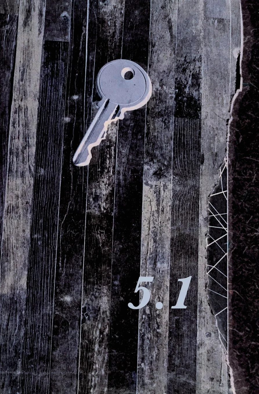 Book Cover: Vettius Valens Anthology, Book 5