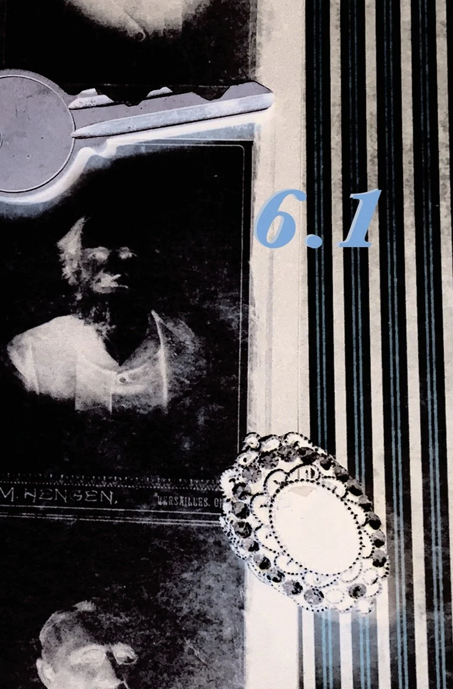 Book Cover: Vettius Valens Anthology, Book 6